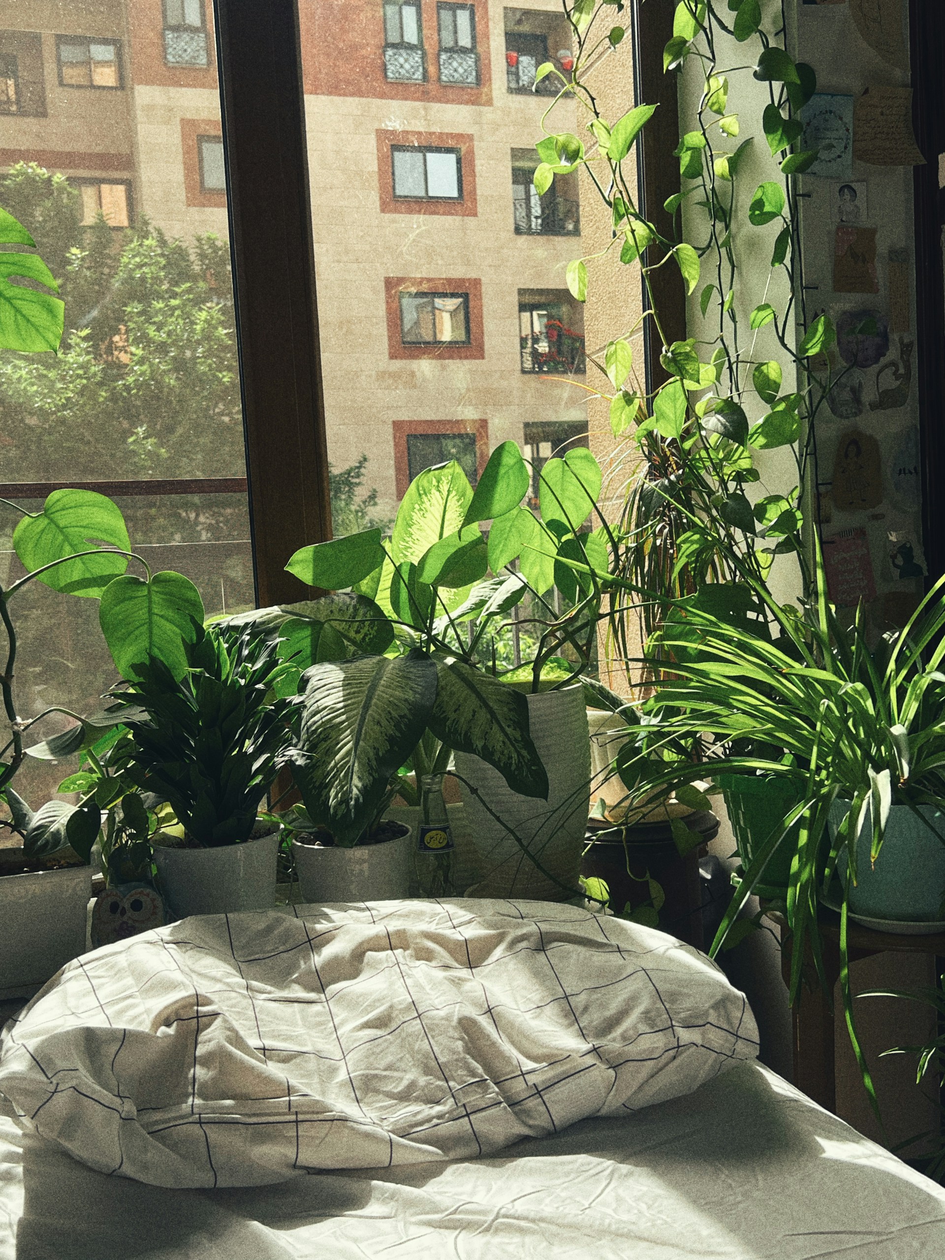 Botanical Forest Bedroom